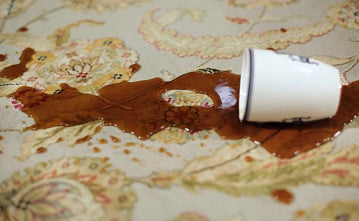 Stain & Odor Removal